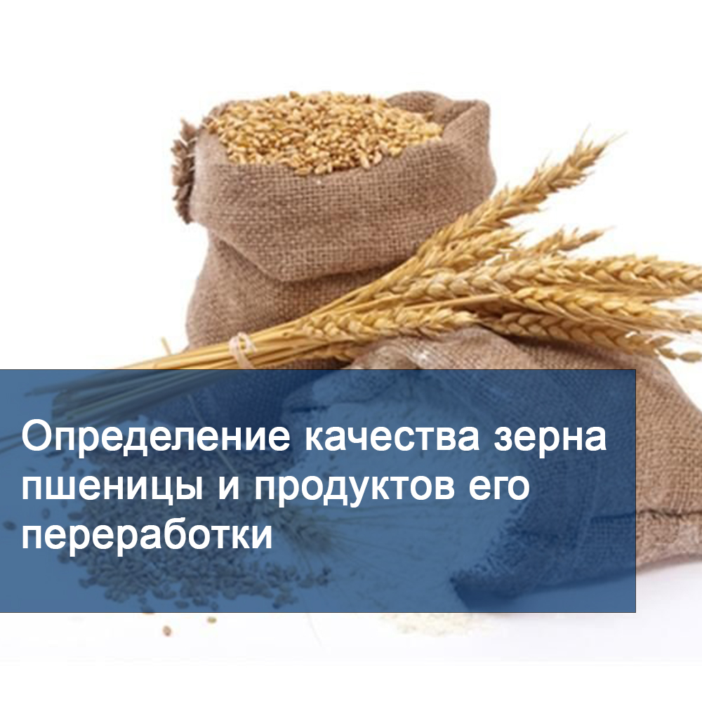 Качество зерна в россии. Оценка качества зерна пшеницы. Определение качества зерна. Зерно и продукты его переработки. Как определить качество зерна пшеницы.